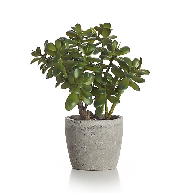 Potted Artificial Jade Plant Potted Artificial Jade Plant