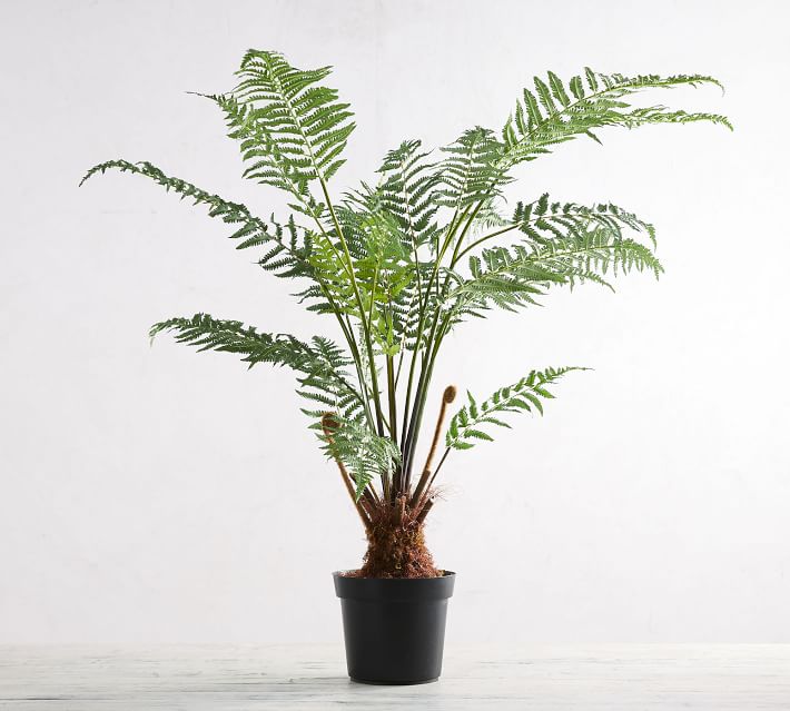 Faux Potted Australian Tree Fern Faux Potted Australian Tree Fern