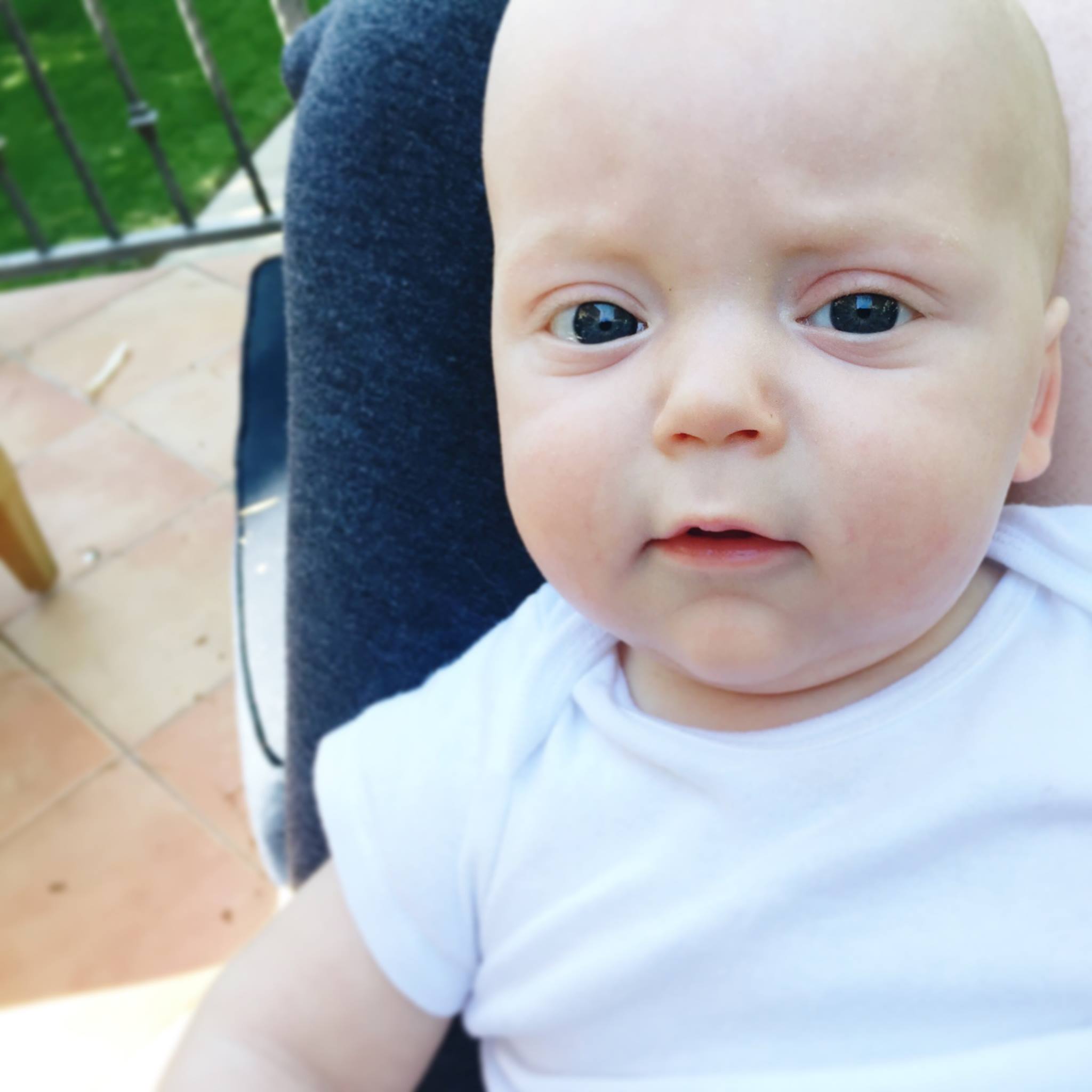 Levon No Lashes