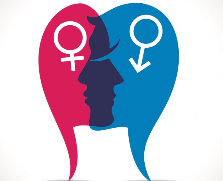 The Stepparadox, Raise Magazine