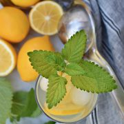 Lemon Balm Gin & Tonic, Raise Magazine