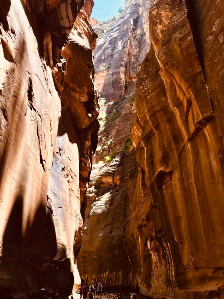 A Family Vacation During Covid: Zion National Park A Family Vacation During Covid: Zion National Park