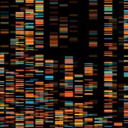 Why I Wont Do Genetic Testing On My Adopted Child, Raise Magazine