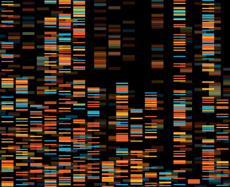 Why I Wont Do Genetic Testing On My Adopted Child, Raise Magazine