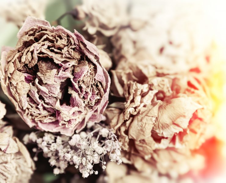 What Did You Do With Your Wedding Album After Your Divorce?