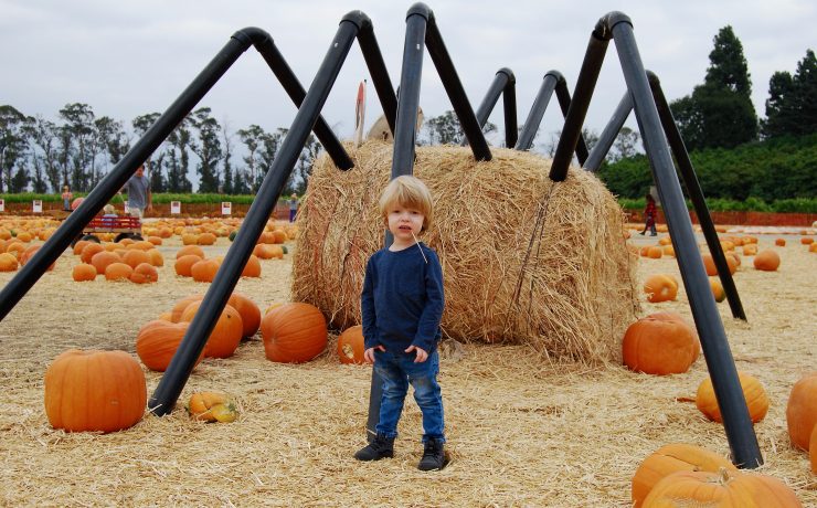 Underwood Family Farms – Fall Harvest On The Farm