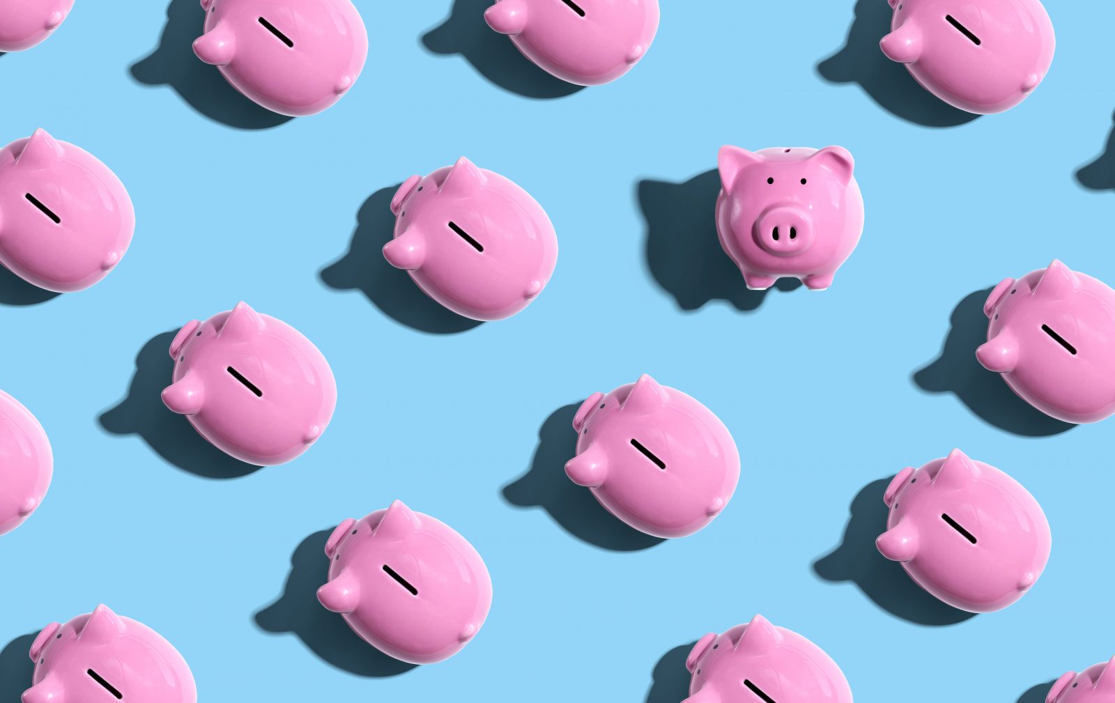 How To Ask Someone About The Cost Of Their Adoption